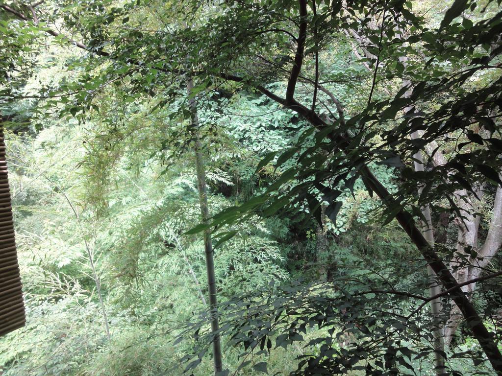Ryokan Kiritani Hakoneso Exteriör bild